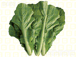 �¸�MS229-�������-�¸���ҵ