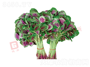 �¸�9��-�Ȳ�����-�¸���ҵ