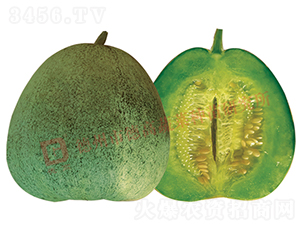 �¸�Q16-�������-�¸���ҵ