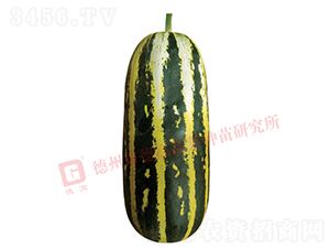 �¸�S120���-�������-�¸���ҵ
