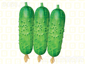 �¸���ͯ�ƹ�-�ƹ�����-�¸���ҵ