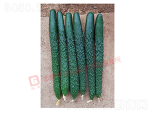 �¸�C28�ƹ�-�ƹ�����-�¸���ҵ