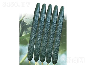 �¸�C57�ƹ�-�ƹ�����-�¸���ҵ