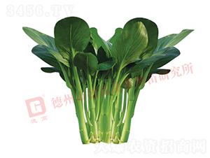 �¸���̦-���Ĳ�޷����-�¸���ҵ