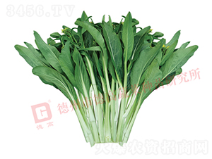 �¸�2027��޷-���Ĳ�޷����-�¸���ҵ