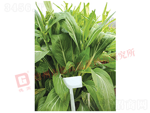 �¸�1987��޷-���Ĳ�޷����-�¸���ҵ