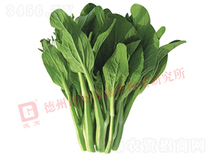 �¸�2099��޷-���Ĳ�޷����-�¸���ҵ