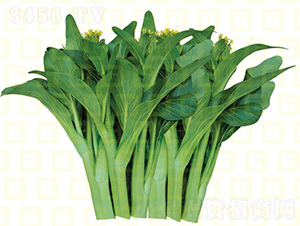 �¸���̦2689-���Ĳ�޷����-�¸���ҵ