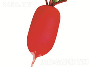 ��Ƥ�ܲ�-��С��-�ܲ�����-�¸���ҵ