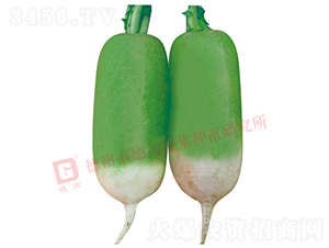 ����Ƥ�ܲ�-R117-�ܲ�����-�¸���ҵ