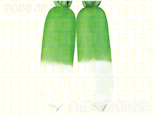 �����ܲ�-�¸ߴ�����-�ܲ�����-�¸���ҵ
