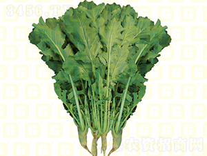 Ҷ���ܲ�-�¸�R460-�ܲ�����-�¸���ҵ
