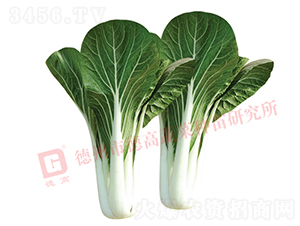 ��Ҷ��-�¸�1420-�׹�������-�¸���ҵ
