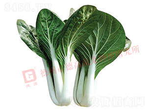 ��Ҷ��-�¸�1343-�׹�������-�¸���ҵ