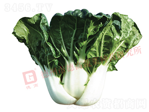 �̰ײ�-�¸�N1024-�׹�������-�¸���ҵ