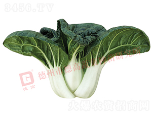 �̰ײ�-�¸�N914-�׹�������-�¸���ҵ