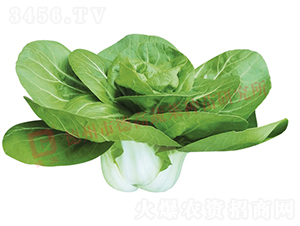 ���Ż�-����1508-�׹�������-�¸���ҵ