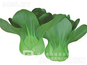 �ذ���-�¸�T668-�๣������-�¸���ҵ