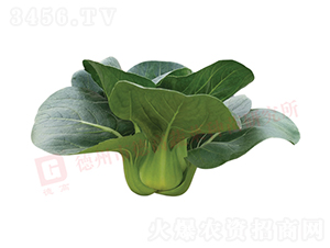 ������-�¸�1226-�๣������-�¸���ҵ