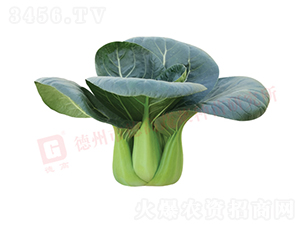 ������-�¸�1135-�๣������-�¸���ҵ