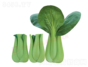 Ҷ������-�¸�670-�๣������-�¸���ҵ