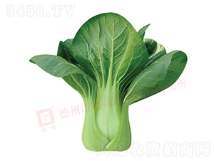 �нŶ�����-�¸�578-�๣������-�¸���ҵ
