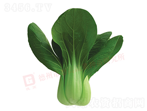 �нŶ�����-�¸ߴ���-�๣������-�¸���ҵ