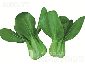 ���Ŷ�����-�¸�558-�๣������-�¸���ҵ