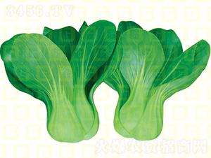 ����������-�¸�T667-�๣������-�¸���ҵ