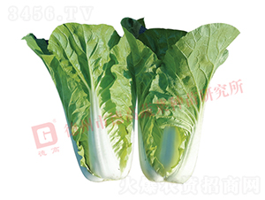 Ҷɫ��ɫ���-�¸�2142-�������-�¸���ҵ