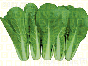 Ҷɫ���̿��-�¸�����-�������-�¸���ҵ
