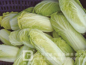 �¸߽����-���޲�����-�¸���ҵ