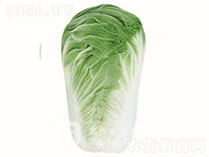 �＾�ײ�-�¸�8��-��ײ�����-�¸���ҵ