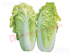 ��˿��-�¸�1443-��ײ�����-�¸���ҵ