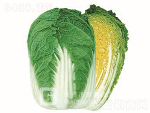 �����ͳ�޷�ײ�-����69-��ײ�����-�¸���ҵ