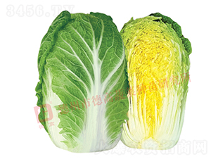 �����ͳ�޷�ײ�-17L723-��ײ�����-�¸���ҵ