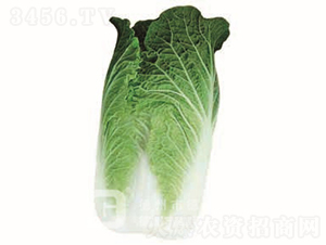 �����ײ��ײ�-CR117-��ײ�����-�¸���ҵ