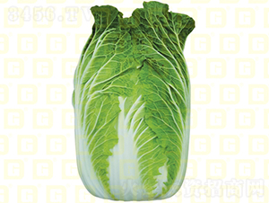 �����ײ��ײ�-�¸�ӯ��-��ײ�����-�¸���ҵ