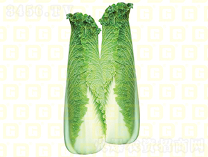 ��ѿ�ܲ�-�¸�����7��-��ײ�����-�¸���ҵ