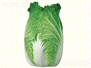 ������ײ�-�¸�7��-��ײ�����-�¸���ҵ