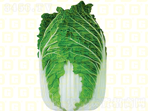 ������ײ�-�¸��츣-��ײ�����-�¸���ҵ