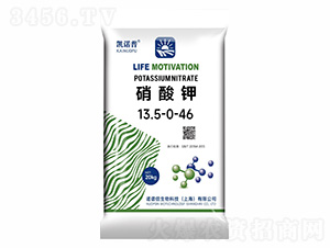 �����13.5-0-46-��ŵ��-ŵ����