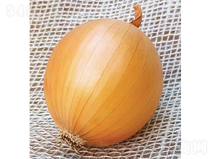 ������Ʒ��ON-014-�������-³��