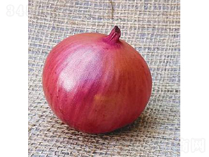 ������Ʒ��ON-021-�������-³��