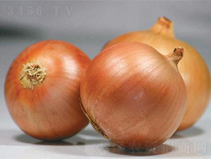 ������Ʒ��ON-024-�������-³��