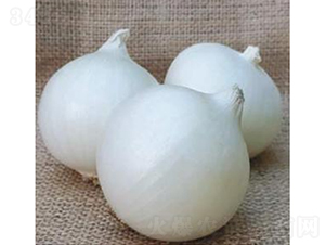 ������Ʒ��ON-029-�������-³��
