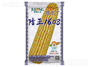 ¡��1608-��������-��¡����