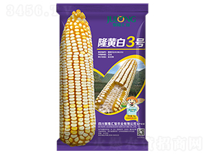 ¡�ư�3��-��������-��¡����