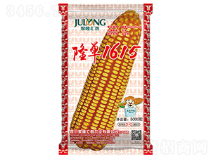 ¡��1615-��������-��¡����