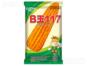 B��117-��������-��¡����